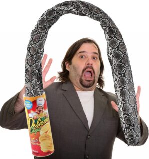 Winbar Prank Gifts for Kids, Funny Classic Snake in a Can Prank for Kids Magic Potato Chip Cans Fries Toys April Fools’ Day and Halloween Party Decoration