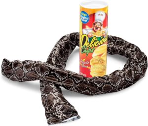 The FunFamz Original Snake in a Potato Chip Can Prank-Funny Classic Snake in a Can Prank for Kids, Snake in a Can Trick Gag Gift Toy & Scary Shock Snake Trick, Spring Snakes Prank, Red Potato Chip Can