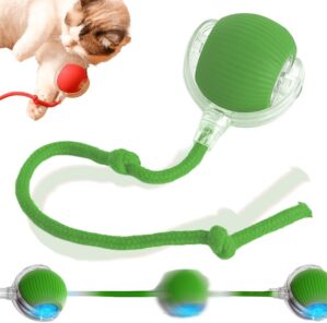 2024 New Interactive Rolling Dog Ball, Self Rolling Dog Ball Interactive Cat Toys Automatic Cat Toy Self Moving Dog Toys, 360° Smart Automatic Rolling Ball Toy Electric Dog Balls for Dog/Cat (Green)