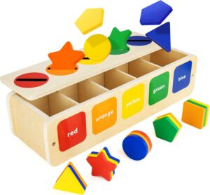 Wooden Montessori Toy for 1 2 Year Old, Shape & Color Sorting Toy for Toddlers 1-3, Shape & Color Matching Toy with Box, Preschool Sensory Learning Toys for 1 2 3 Year Old Boy Girl Gifts