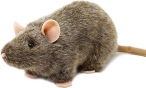 Reuben The Rat – 7 Inch Stuffed Animal Plush Mouse – by TigerHart Toys