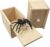 PARNIXS Wooden Spider Prank Box – Handcrafted Money Surprise Box for Adults and Kids [Upgraded Version]