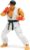 Jada Toys Street Fighter II 6″ Ryu Action Figure, Toys for Kids and Adults