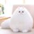 Winsterch Stuffed Animal Plushie Cat Stuffed Animal,Cute Soft Plush Cat Animals,White Stuffed Cat, Birthday Christmas for Kids,Boys,Girls,Fat Cat Stuffed Toy (White, 10 Inches)