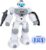 Robot Toys for Kids Age 6-10, Intelligent Programmable RC Robot with Gesture Sensing, Singing, Dancing, and Storytelling, Christmas Birthday Gifts for Boys Girls