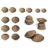 edxeducation Tactile Shells – Eco-Friendly – 36 Pieces, 6 Textures, 3 Sizes – Ages 18m+ – Sensory Play – Dough and Clay Toys