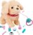 Plush Interactive Toy for Girls, Talking Golden Retriever Toy with Singing, Barking, Tail Wagging, Electronic Puppy, Stuffed Dog Toy for 2 3 4 Years Old Toddlers Girls Boys Christmas Birthday Gifts