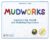 Mudworks: Creative Clay, Dough, and Modeling Experiences (Bright Ideas for Learning Book 1)