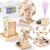 STEM Kits for Kids Age 8-10, Wood Craft Projects Kit for Kids 8-12 Model Science Kits for Kids Age 5-7 6-8, STEM Toys for Boys Girls 6 7 8 9 10 12 13 14 Year Old Gifts, 3d Wooden Puzzles Building Toys