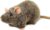 Reuben The Rat – 7 Inch Stuffed Animal Plush Mouse – by TigerHart Toys